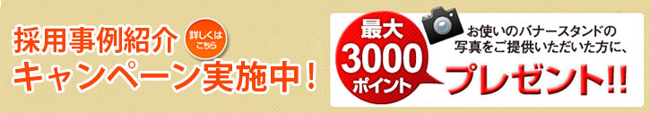 3000円分のポイントがもらえる採用事例キャンペーン実施中